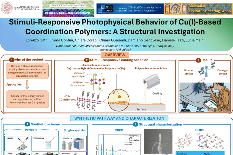 Poster presentation by Lorenzo Gatti at the 13th Crystal Forms